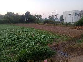  Agricultural Land for Rent in Anklav, Anand