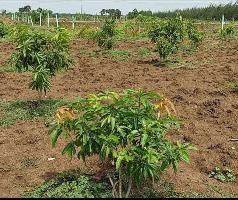  Agricultural Land for Sale in Dindivanam, Chennai