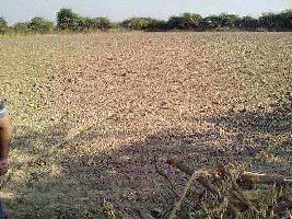  Commercial Land for Sale in Khushkhera, Bhiwadi