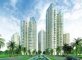3 BHK Flat for Sale in Sector 67 Gurgaon