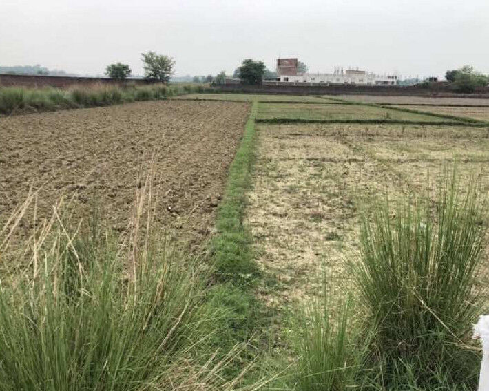  Residential Plot 1360 Sq.ft. for Sale in Babatpur, Varanasi