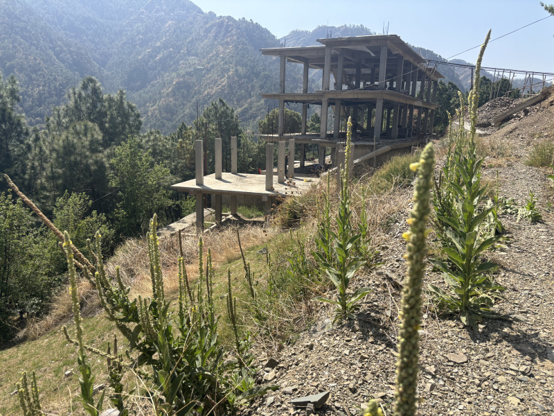 10 BHK House 5 Biswa for Sale in Mashobra, Shimla