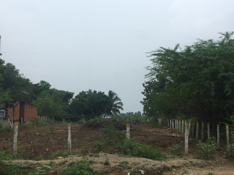  38 Cent Residential Plot for Sale in Rayagiri, Tirunelveli
