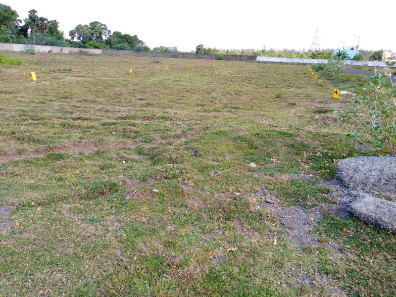  Commercial Land 1500 Sq.ft. for Sale in Dholera, Ahmedabad
