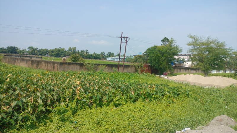  Industrial Land 13 Bigha for Sale in Dankuni, Hooghly