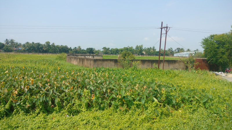  Industrial Land 13 Bigha for Sale in Dankuni, Hooghly