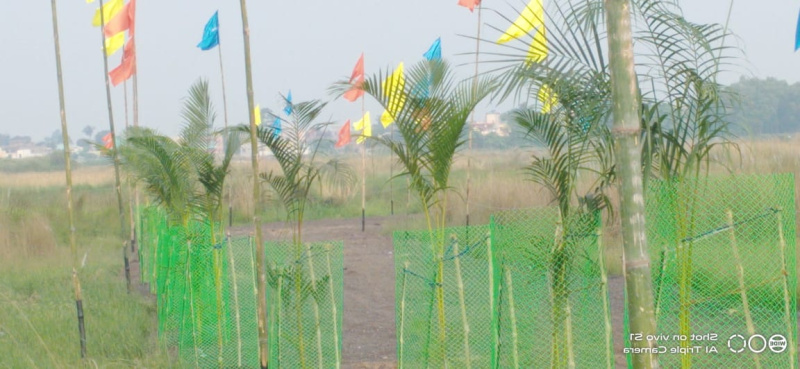  Residential Plot 800 Katha for Sale in A-Zone, Durgapur