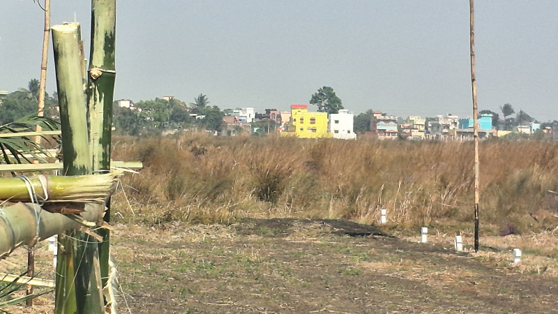  Residential Plot 1800 Sq.ft. for Sale in Benachity, Durgapur