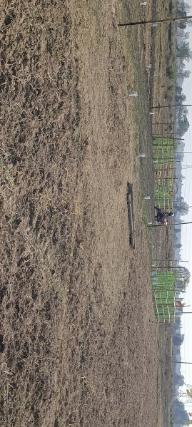  Residential Plot 1440 Sq.ft. for Sale in Sabuj Nagar, Durgapur