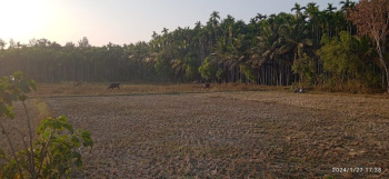  Agricultural Land for Sale in Arkalgud, Hassan