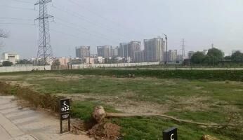  Residential Plot for Sale in Sector 91 Faridabad