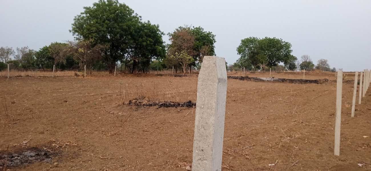 Agricultural Land 14 Guntha for Sale in Shabad, Rangareddy