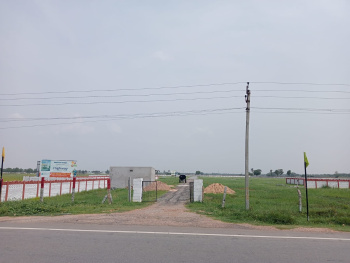  Residential Plot for Sale in New Balaji Colony, Tirupati