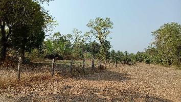  Agricultural Land for Sale in Sawantwadi, Sindhudurg