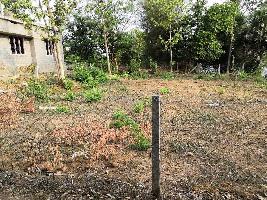 Agricultural Land for Sale in Alathur, Palakkad