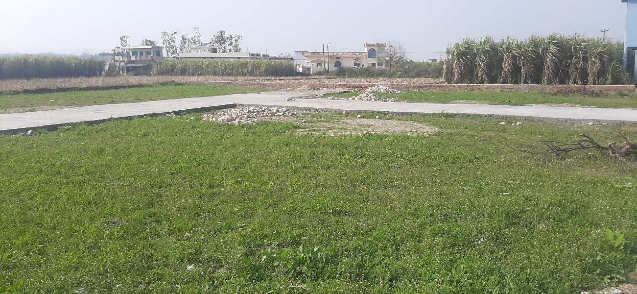  Residential Plot 1680 Sq. Yards for Sale in Dudhli Road, Dehradun