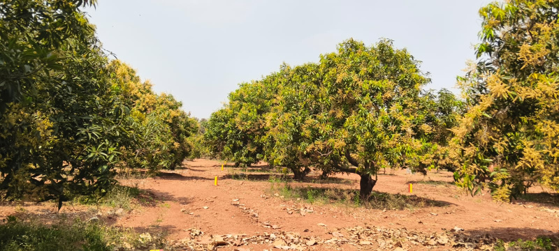 Orvakal, Kurnool photo 2