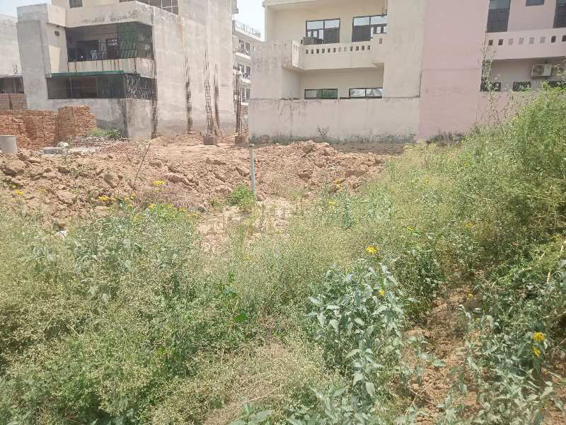 Commercial Land 100 Sq. Yards for Sale in Sector 2 Bahadurgarh