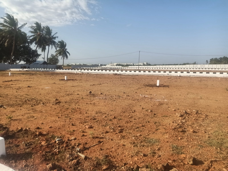  1200 Sq.ft. Residential Plot for Sale in Panjapur, Tiruchirappalli
