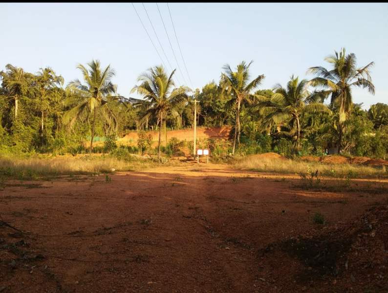  Residential Plot 2 Acre for Sale in Ujire, Mangalore