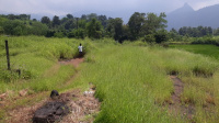  Agricultural Land for Sale in Karjat, Mumbai