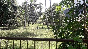  Industrial Land for Sale in Irinjalakuda, Thrissur