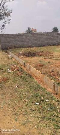  Residential Plot for Rent in Anekal, Bangalore