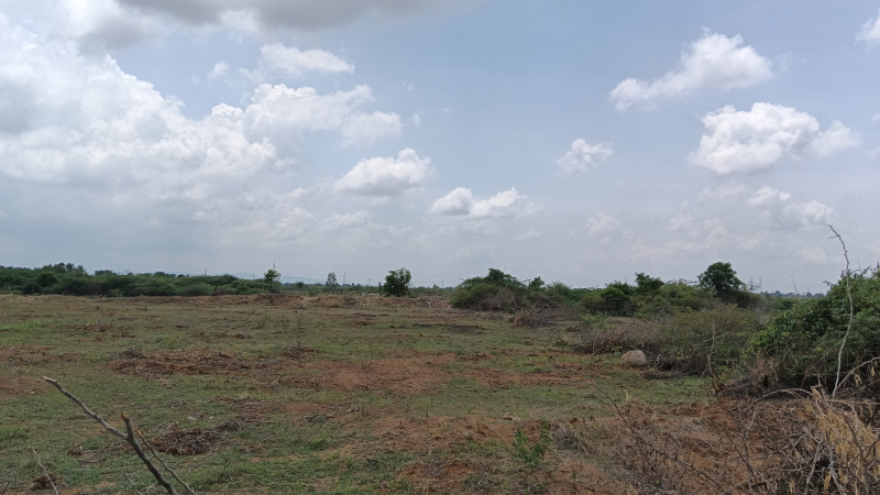  Agricultural Land 1 Acre for Sale in Hiriyur, Chitradurga