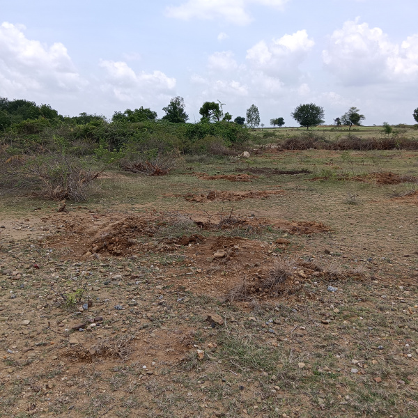  Agricultural Land 1 Acre for Sale in Hiriyur, Chitradurga