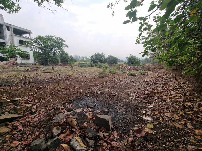  Residential Plot 4200 Sq.ft. for Sale in Alibag, Raigad