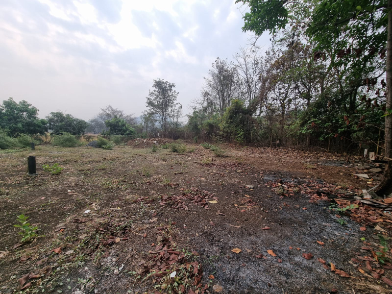  Residential Plot 4200 Sq.ft. for Sale in Alibag, Raigad