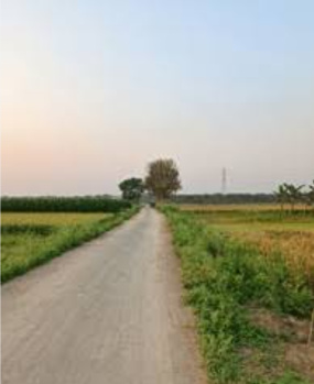  Agricultural Land for Sale in Dehlon, Ludhiana