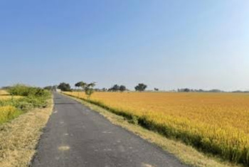  Agricultural Land for Sale in Dehlon, Ludhiana
