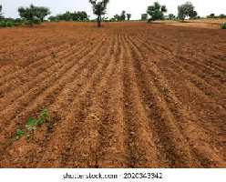  Agricultural Land for Sale in Sikandra Rao, Hathras
