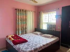 3 BHK Flat for Rent in New Pundag, Masibari, Ranchi
