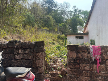 1 BHK House for Rent in Moira, North Goa