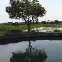  Agricultural Land for Sale in East Coast Road, Chennai