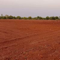  Agricultural Land for Sale in Homnabad, Bidar