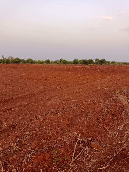 Agricultural Land 20 Acre for Sale in Homnabad, Bidar