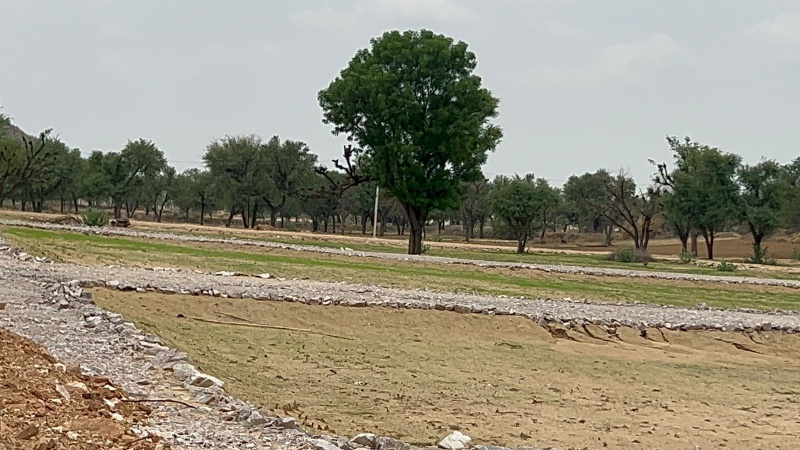  Agricultural Land 66 Sq.ft. for Sale in Khatu, Sikar