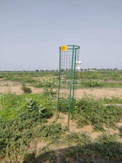 Agricultural Land 500 Bigha for Sale in