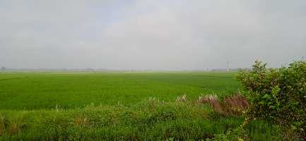  Agricultural Land for Sale in Gosainganj, Lucknow