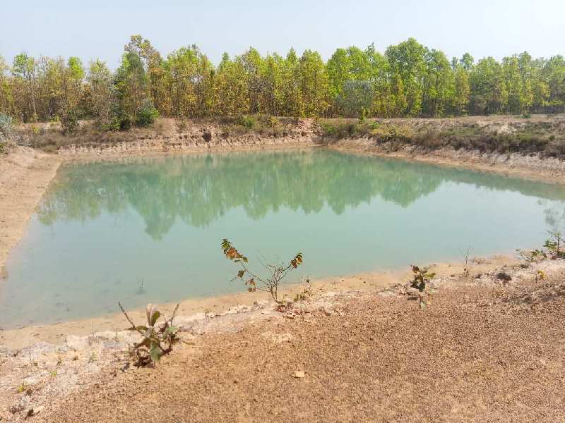farm land for sale in purba medinipur