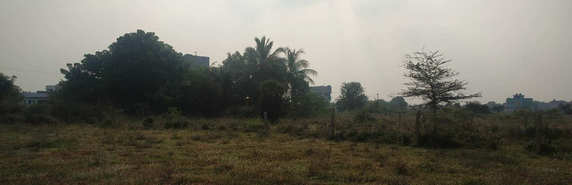 2400 Sq.ft. Residential Plot for Sale in Pari Nagar, Tiruchirappalli