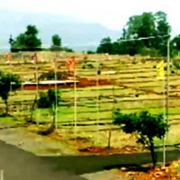  Residential Plot for Sale in Sector 62 Greater Noida