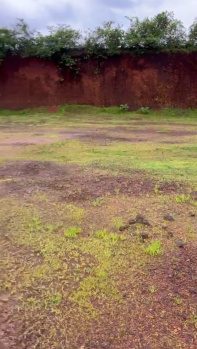  Residential Plot for Sale in Murdeshwar, Uttara Kannada