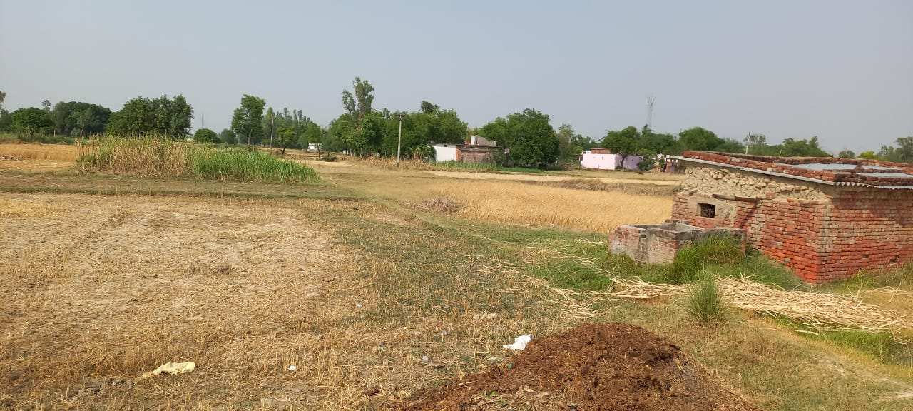  Residential Plot 3 Bigha for Sale in Kadipur, Sultanpur