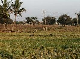  Agricultural Land for Rent in Ibrahimpatnam, Hyderabad