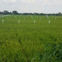  Agricultural Land for Sale in Ecr To Marakanam Road, Chennai