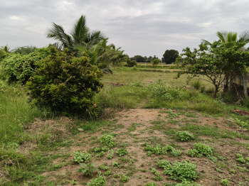  Agricultural Land for Sale in Maiyur, Chengalpattu